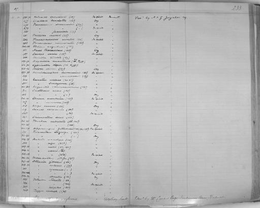 Clupea venenosa - Zoology Accessions Register: Reptiles & Fishes: 1878 - 1892: page 233