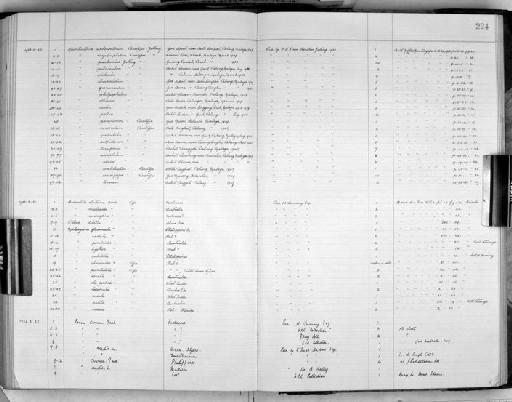 Opisthostoma (Plectostoma) sciaphilum van Benthem Jutting, 1952 - Zoology Accessions Register: Mollusca: 1938 - 1955: page 224