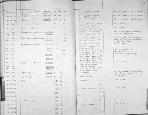 Cytheropteron groenlandicum Whatley & Eynon, 1996 - Zoology Accessions Register: Crustacea (Entomostraca): 1982 - 1993: page 77