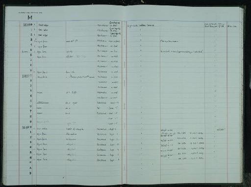 Equus ferus Boddaert,1785 - NHM-UK_P_DF118_03_41_0207