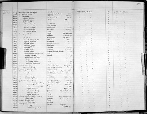 Cyclostoma ligatus Krauss - Zoology Accessions Register: Mollusca: 1938 - 1955: page 257