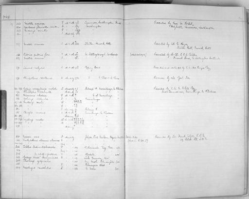 Rhinolophus hildebrandtii Peters, 1878 - Zoology Accessions Register: Mammals: 1937 - 1951: page 54