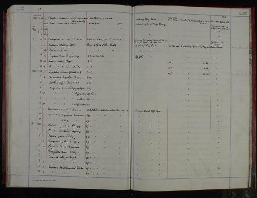 Lenticulina matulina d'Orbigny - NHM-UK_P_DF118_04_05_0489