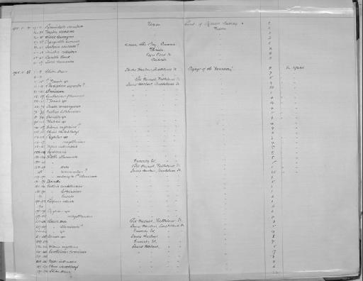 Patella aenea Reeve, 1854 - Zoology Accessions Register: Mollusca: 1900 - 1905: page 206