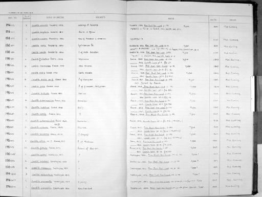 Cardita nitida ß Reeve, 1843 - Zoology Accessions Register: Mollusca: 1962 - 1969: page 77