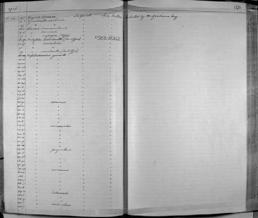 Clarias werneri Boulenger, 1906 - Zoology Accessions Register: Fishes: 1912 - 1936: page 180