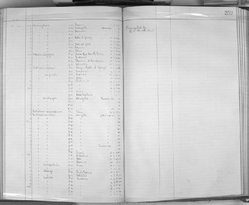 Cisticola erythrops roseires W.L. Sclater  and Mackworth-Praed, 1918 - Zoology Accessions Register: Aves (Skins): 1914 - 1916: page 252