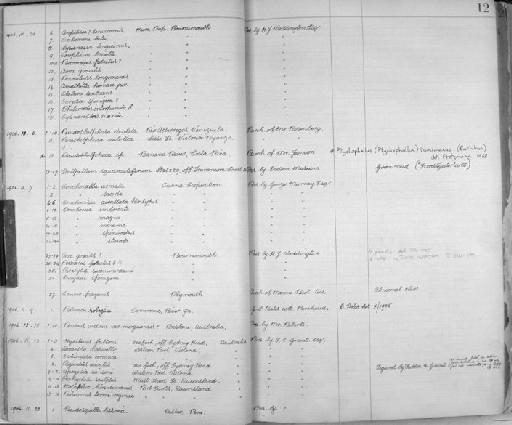 Conchoecissa cucullata - Zoology Accessions Register: Crustacea: 1905 - 1935: page 12