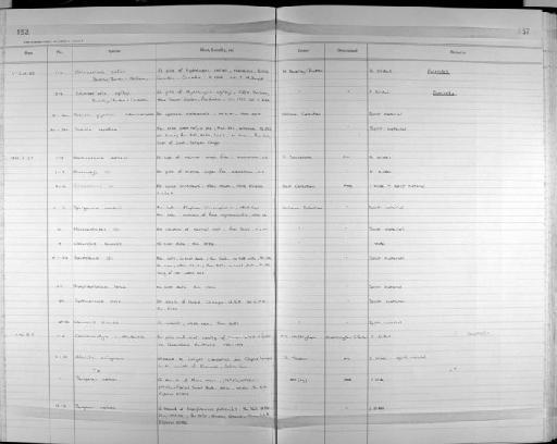 Concinnocotyla australensis (Reichenbach-Klinke, 1966) - Zoology Accessions Register: Platyhelminth: 1987 - 1993: page 152