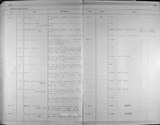 Tetraphyllidae - Zoology Accessions Register: Platyhelminth: 1981 - 1987: page 230