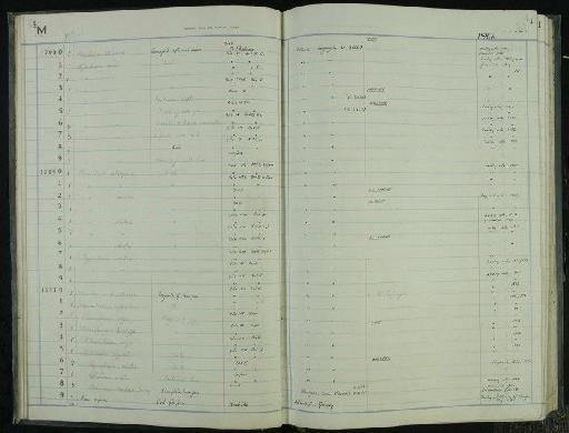 Tapinochoerus minutus Leakey, 1958 - NHM-UK_P_DF118_03_35_0011