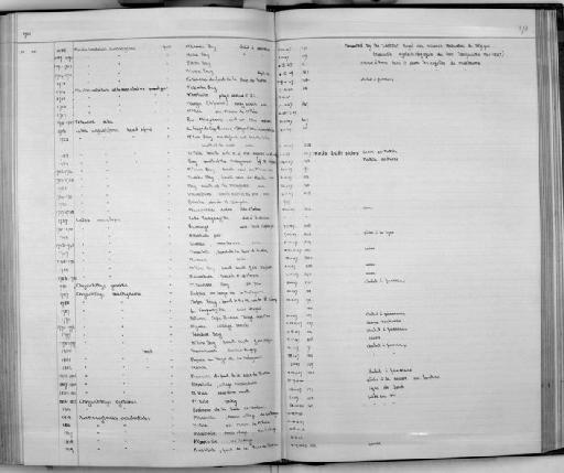 Mastacembelus albomaculatus Poll, 1953 - Zoology Accessions Register: Fishes: 1937 - 1960: page 173