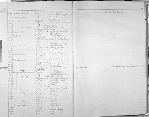 Rhinolophus deckenii - Zoology Accessions Register: Mammals: 1952 - 1964: page 46