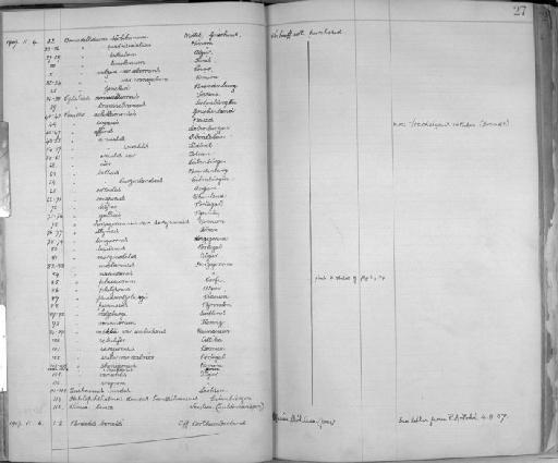 Armadillidium vulgare variegatum var. variegatum - Zoology Accessions Register: Crustacea: 1905 - 1935: page 27