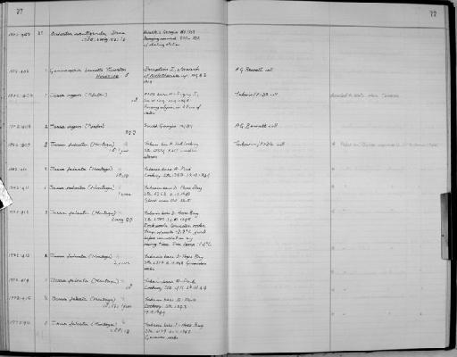 Orchestia scutigerula parvorder Talitridira epifamily Talitroidae Dana - Zoology Accessions Register: Crustacea: 1969 - 1976: page 77
