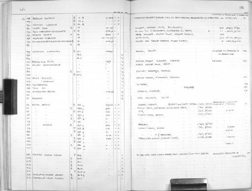 Perodicticus potto ibeanus - Zoology Accessions Register: Mammals: 1967 - 1970: page 96