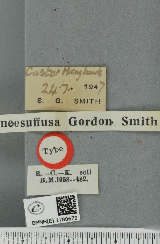 Triphosa dubitata ab. brunneosuffusa Smith, 1954 - BMNHE_1780679_label_366859