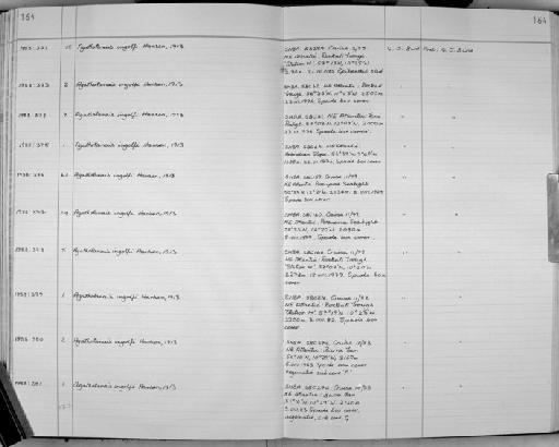 Agathotanais ingolfi Hansen, 1913 - Zoology Accessions Register: Crustacea: 1984 - 1991: page 164