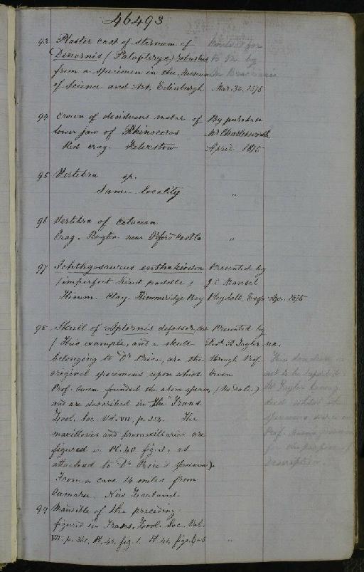 Aptornis defossor Owen, 1871 - NHM-UK_P_DF118_03_07_0003