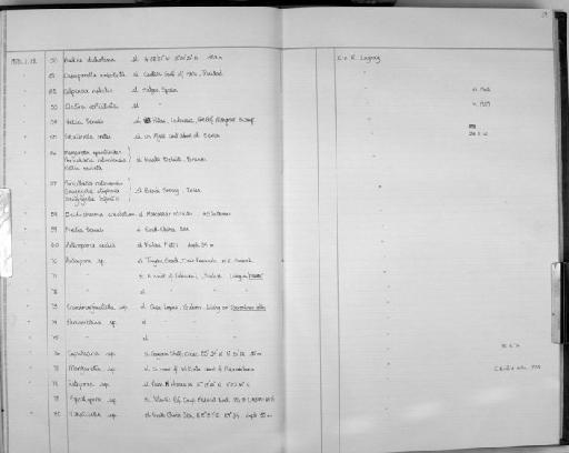 Electra verticillata - Zoology Accessions Register: Bryozoa: 1971 - 1986: page 59