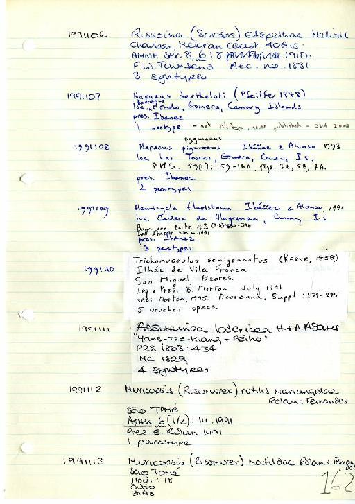 Napaeus bertheloti subterclass Tectipleura (L. Pfeiffer, 1846) - Zoology Accessions Register: Mollusca: 1986 - 1993: page 162