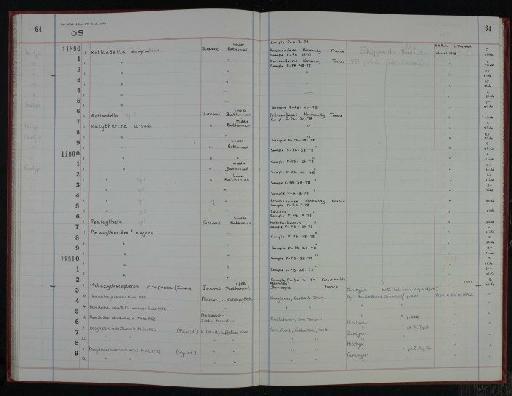 Eucytherura ursula Sheppard, 1981 MS. - NHM-UK_P_DF118_04_11_0129