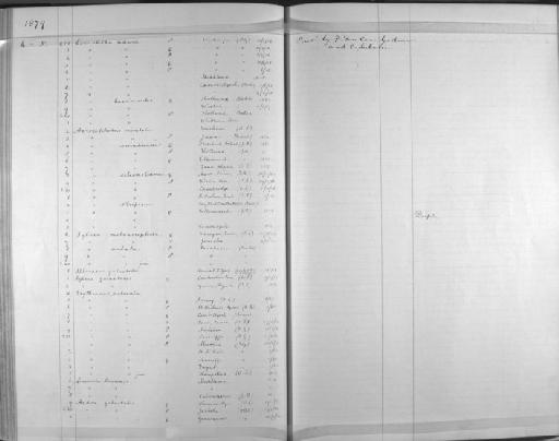 Megalurus timoriensis alisteri Mathews, 1912 - Zoology Accessions Register: Aves (Skins): 1874 -1880: page 303A