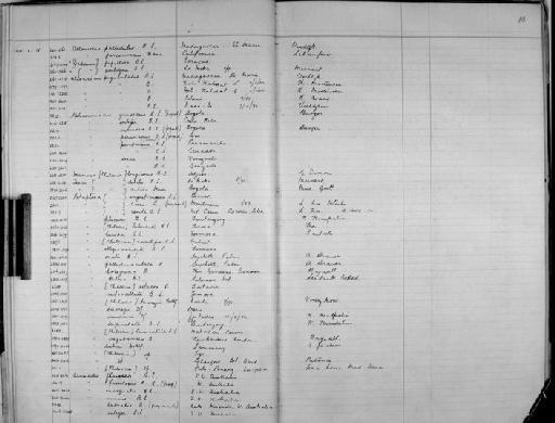 Alloniscus papillosa Budde-Lund - Zoology Accessions Register: Crustacea - Budde Lund Collection 1921 & Stebbing Collection 1928: page 13