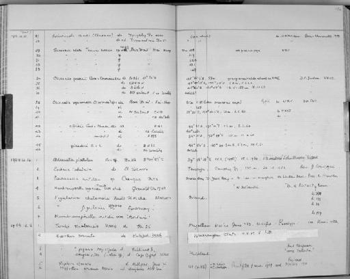 Otionella proberti Cook & Chimonides - Zoology Accessions Register: Bryozoa: 1971 - 1986: page 124