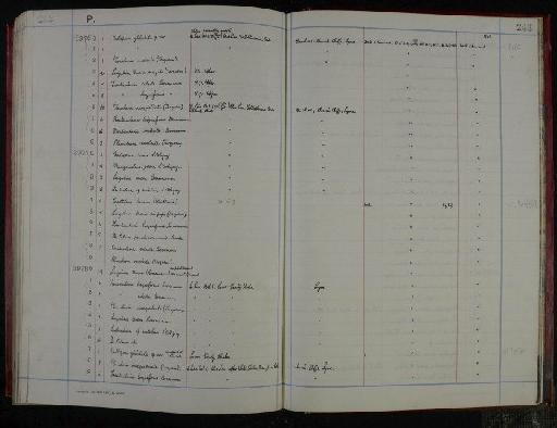 Nodosaria prima Orbigny, 1850 - NHM-UK_P_DF118_04_05_0491