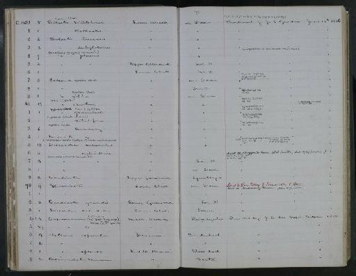 Discoides subuculus Leske, 1778 - NHM-UK_P_DF118_02_51_0081