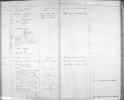 Hadra subterclass Tectipleura E. von Martens, 1860 - Zoology Accessions Register: Mollusca: 1894 - 1899: page 62
