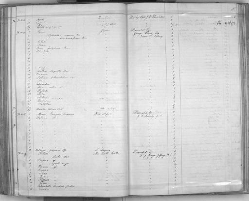 Helix (Camaena) lewisii subterclass Tectipleura Martens, 1889 - Zoology Accessions Register: Mollusca: 1869 - 1877: page 185