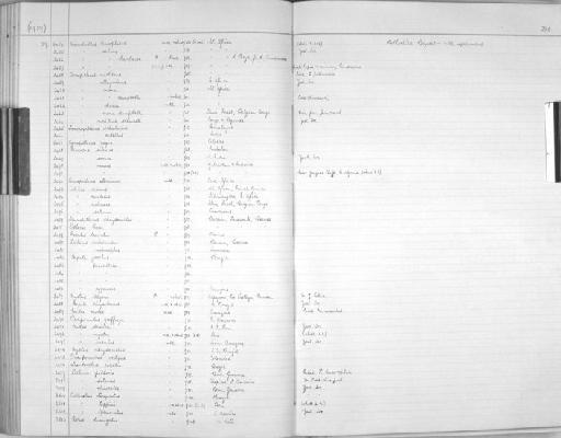 Callithrix jacchus penicillata - Zoology Accessions Register: Mammals: 1937 - 1951: page 260