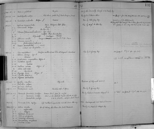 Potamon calcaratum subsection Heterotremata section Eubrachyura - Zoology Accessions Register: Crustacea: 1905 - 1935: page 182