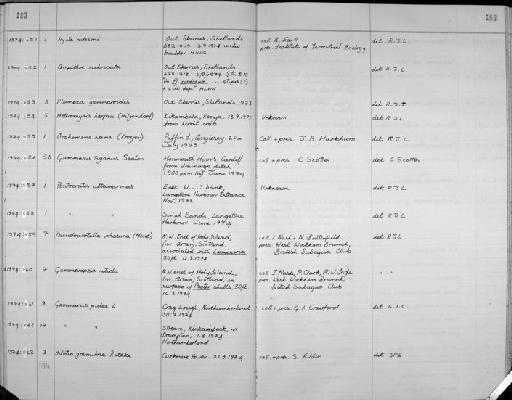 Pseudoprotella phasma parvorder Caprellidira (Montagu, 1804) - Zoology Accessions Register: Crustacea: 1969 - 1976: page 183