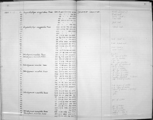 Zoology Accessions Register: Coelenterata: 1958 - 1964: page 18