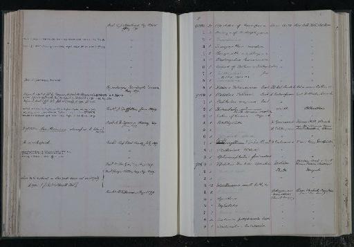 Syllaemus anglicus Dixon, 1850 - NHM-UK_P_DF118_03_10_0125