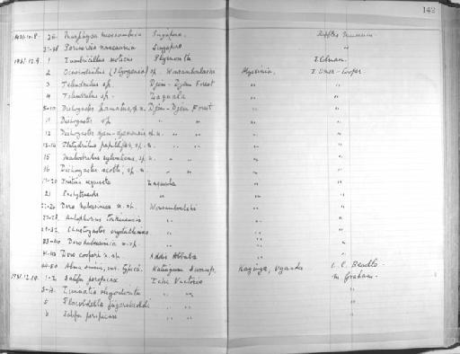 Dero habessinica - Zoology Accessions Register: Annelida & Echinoderms: 1924 - 1936: page 142