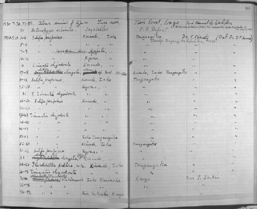 Salifa elongata Moore - Zoology Accessions Register: Annelida & Echinoderms: 1924 - 1936: page 98