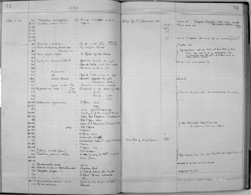 Dendrophyllia aurea (Quoy & Gaimard, 1833) - Zoology Accessions Register: Coelenterata: 1934 - 1951: page 73