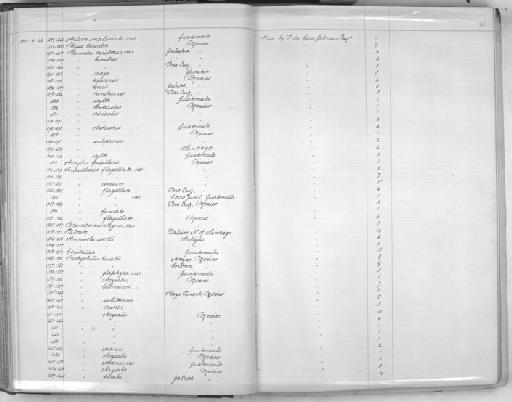 Planorbis caribaeus subterclass Tectipleura d'Orbigny, 1845 - Zoology Accessions Register: Mollusca: 1900 - 1905: page 65