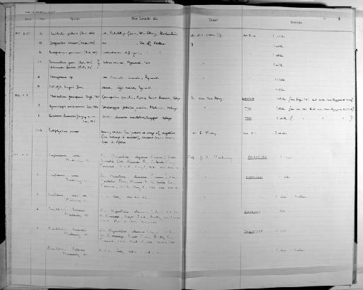 Raillietina (Paroniella) singapurensis Lee, 1966 - Zoology Accessions Register: Platyhelminth: 1971 - 1981: page 4 (image/jpeg)