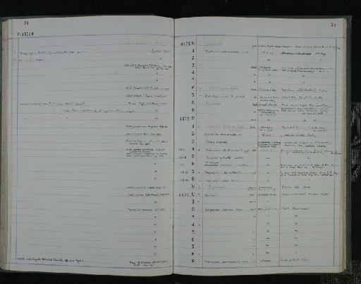 Edaphodon infraphylum Gnathostomata Buckland 1838 - NHM-UK_P_DF118_03_16_0149