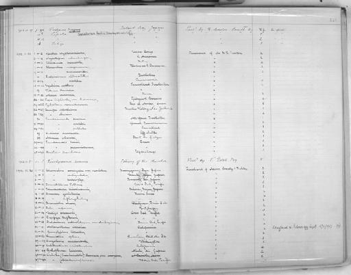 Ganesella optima subterclass Tectipleura Pilsbry, 1902 - Zoology Accessions Register: Mollusca: 1900 - 1905: page 110