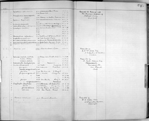 Henicorhina leucophrys brunneiceps Chapman, 1914 - Zoology Accessions Register: Aves (Skins): 1921 - 1923: page 15