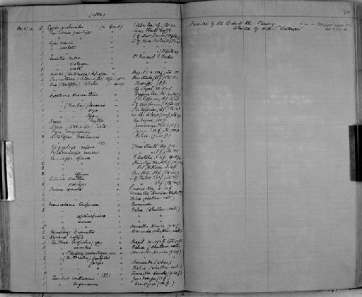 Mithrax bispidus subsection Heterotremata section Eubrachyura - Zoology Accessions Register: Crustacea: 1876 - 1905: page 72