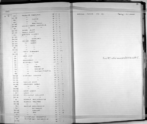 Coris julis (Linnaeus, 1758) - Zoology Accessions Register: Fishes: 1961 - 1971: page 62