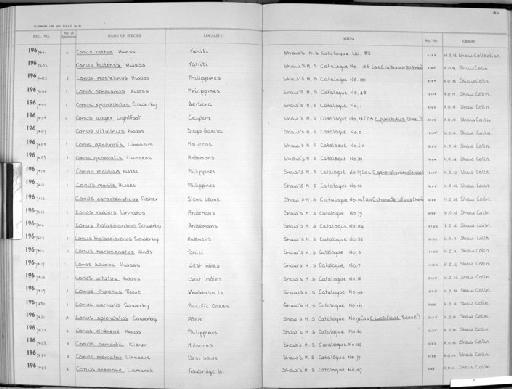 Conus bernardii Kiener, 1847 - Zoology Accessions Register: Mollusca: 1962 - 1969: page 184