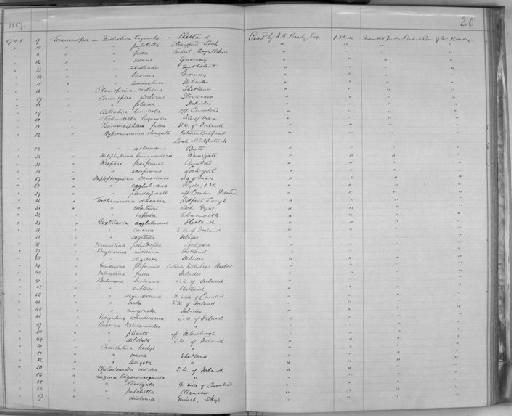 Miliolina trigonula - Zoology Accessions Register: Spongiida & Protozoa: 1887 - 1918: page 20